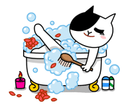 jessica_special-22
